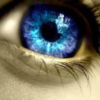 Photoplosion! (@photoplosion) 's Twitter Profile
