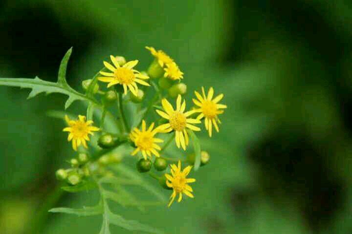 taka84kazu84's profile picture. 一口馬主(ライオンTC)