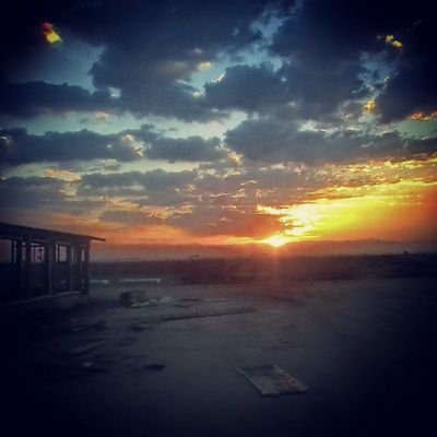 cali_giant's profile picture. 