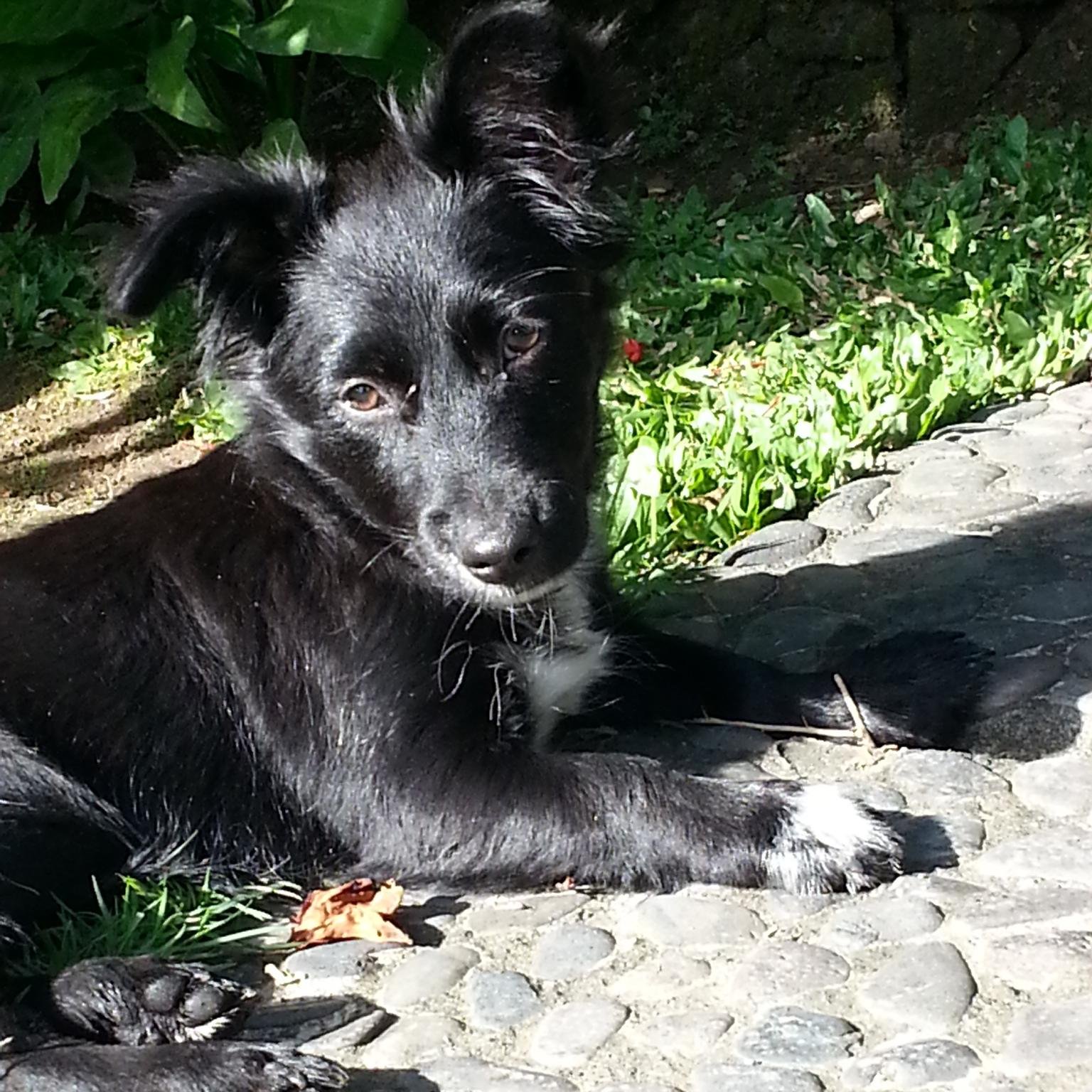 balisue's profile picture. 