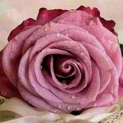 رب أشرح لى صدرى و يسر لى أمرى , و أحلل عقدة لسانى يفقهوا قولى