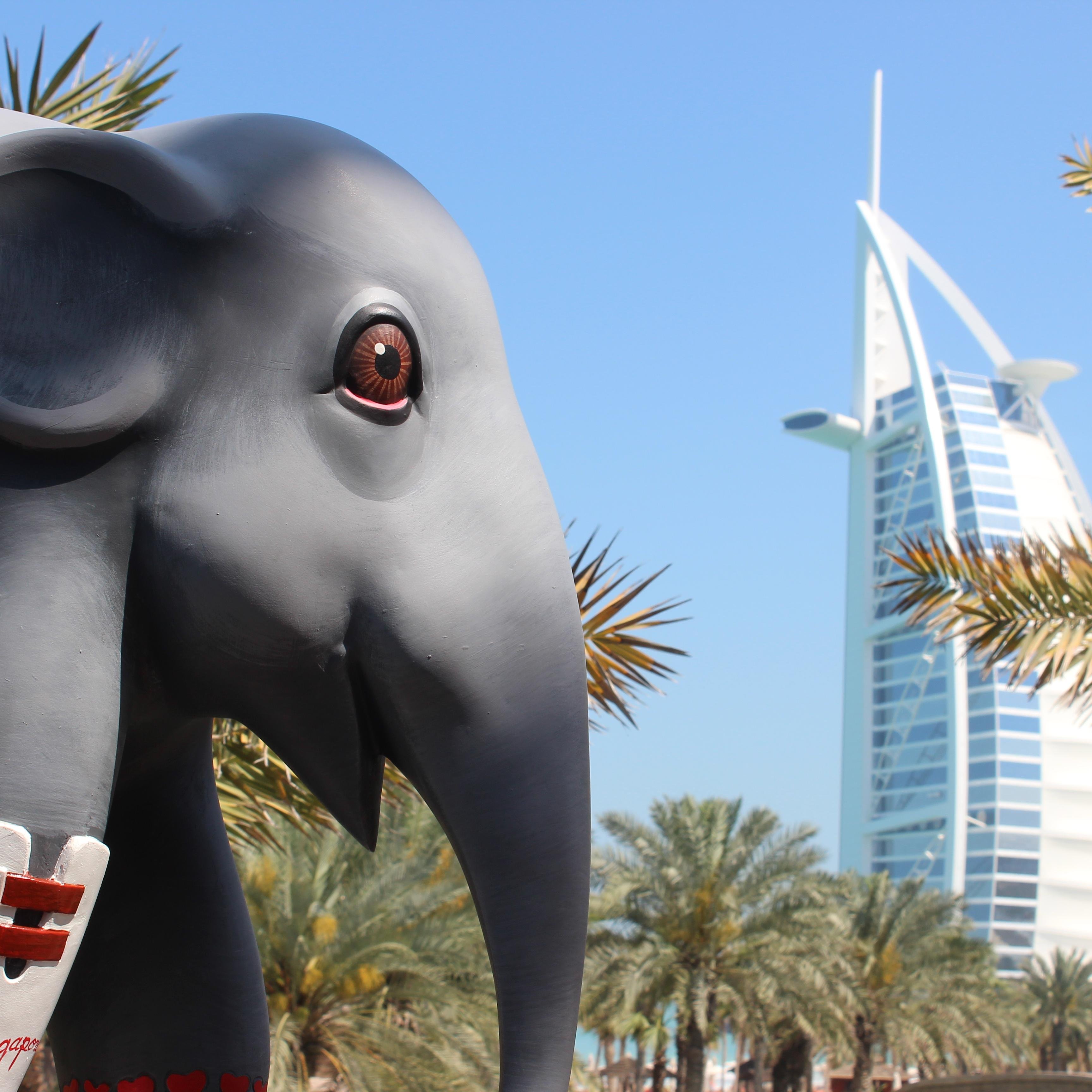 Elephant Parade UAE (EPinUAE) Twitter