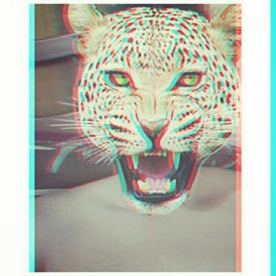 ‘No esperes que te olvide;                                              no olvides que te espero.'