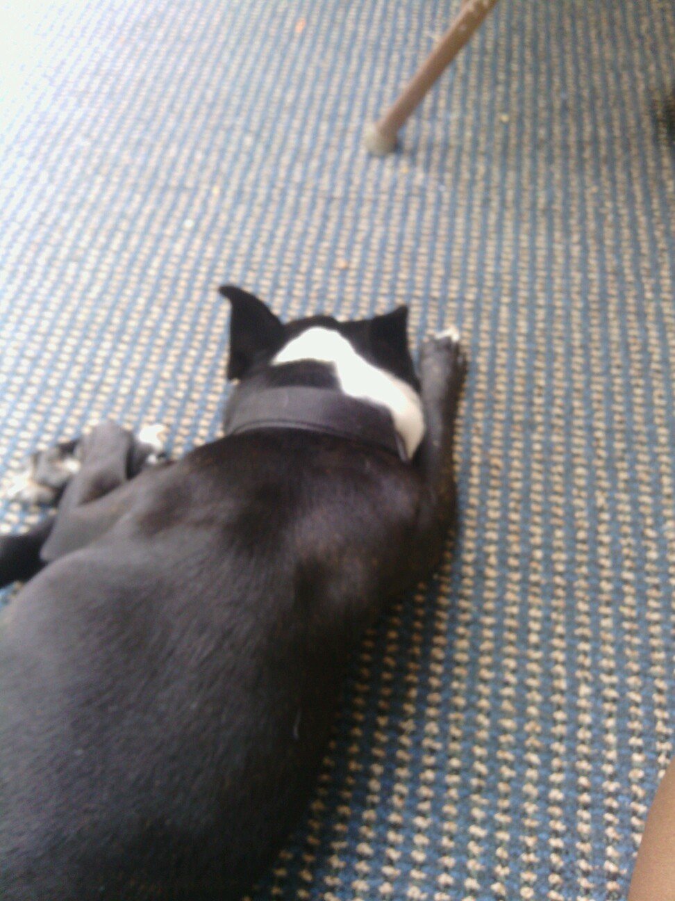 HortonCiara's profile picture. 