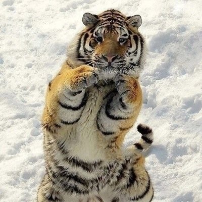 videosgod's profile picture. Finally you can get every TV Show and Every Movie on Demand with no monthly bill!! http://t.co/jNYmrn5VjW