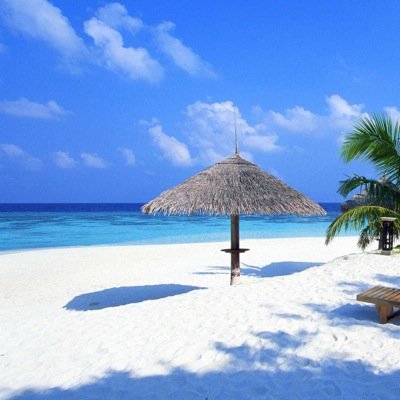 UribeAmaia's profile picture. 