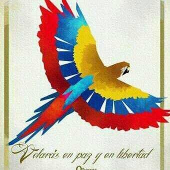 Posiblemente estemos lejos de hacer algo perfecto...pero siempre podemos hacerlo todo mejor (EMMC 2011)