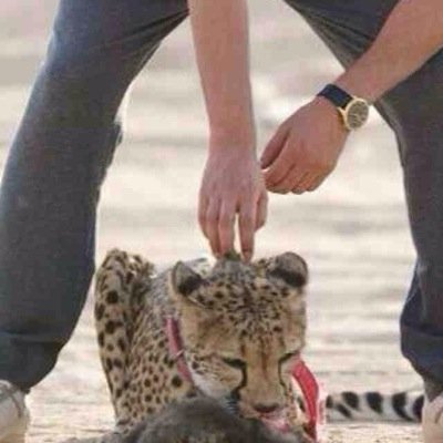 ‏عَششآنّ هِيبة حَضوريّ مَ يدَآنونيّ شَبيھ نفسِي ۈلٱ أشبَہَ أحَد ثَاني Kuwait