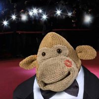 Andy H (@andy64hyde) 's Twitter Profile