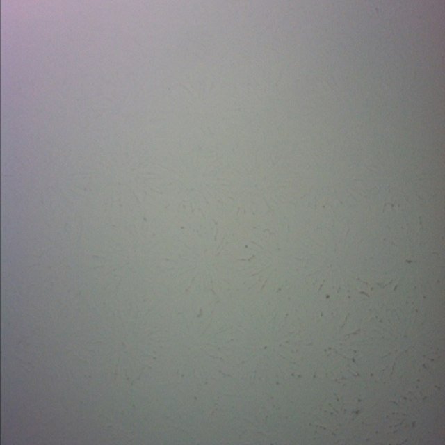 juicyk37's profile picture. 