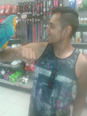 jorgemoralesbpm Profile Picture