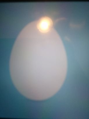 fuckualllllllll's profile picture. 