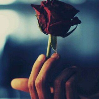 آلسعآدهہ شعور ولكن في بعض الأوقآت هيّ شخص ♥