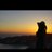 miloni1991's profile image