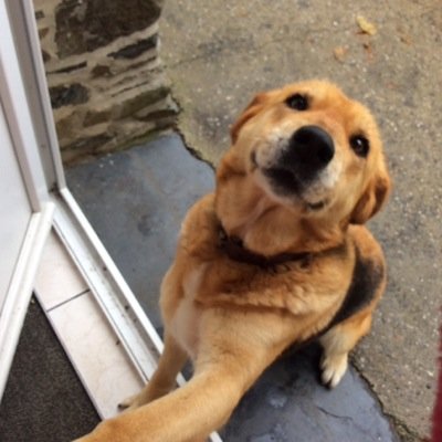 BlouetE's profile picture. 