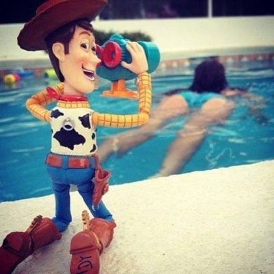 txotuno's profile picture. TIPSTER, Madridista practicante, español luchando ante las injusticias