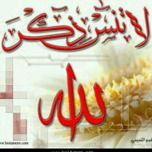 ‏‏‏‏‏‏‏‏‏‏القلب الجريح