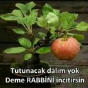 vuslat mustusu (@058Hamide) Twitter