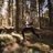 liandiphysio's profile image