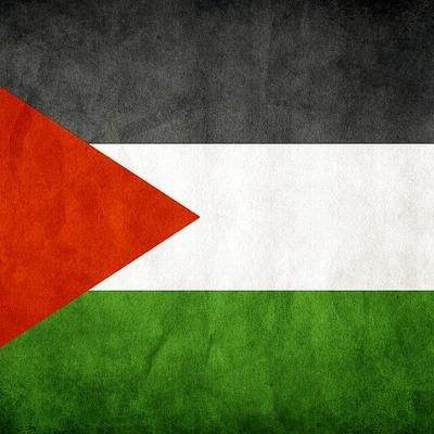 I (Un)Follow Back #FreePalestine