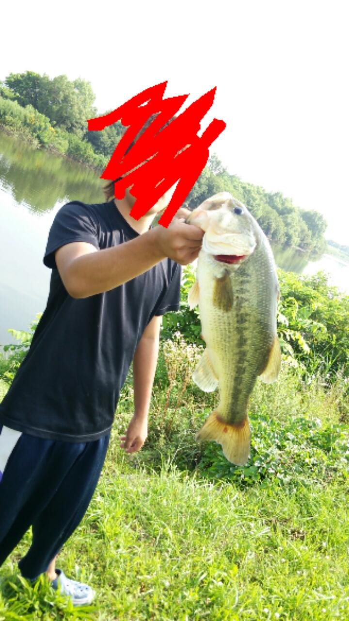 abc44bac's profile picture. 秋田住み　18歳　おかっぱり