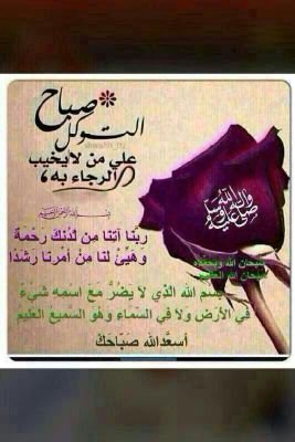 سبحان الله وبحمده .. سبحان الله العظيـم