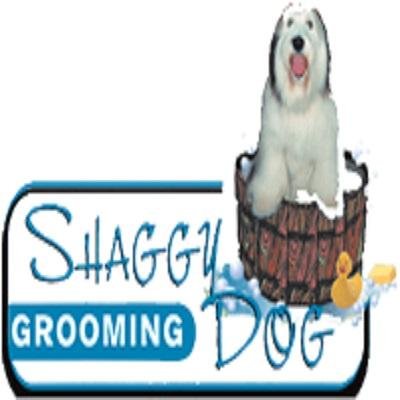 shaggy grooming shaggy grooming shaggydoggroom shaggy grooming shaggy grooming shaggydoggroom