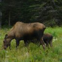 martin lapierre - @osianness - Twitter