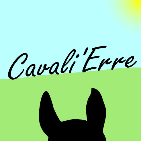 Découvrir le monde entre les oreilles d'un cheval... et puis le conter #voyage #randonnée #cheval #propriétaire