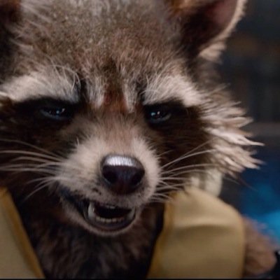 What the Hell is Raccoon!? (TH/EN RP) Do not call me 89P13 , I'm Rocket.