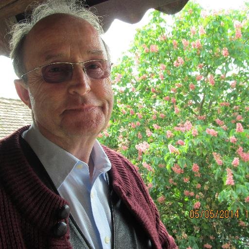 RITTELMAYER's profile picture. 