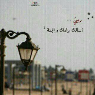 ‏بدر السناني