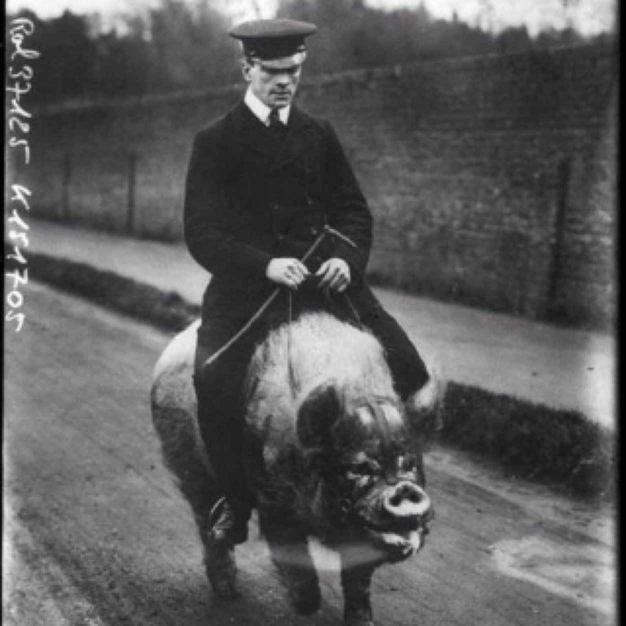 DidierDublin's profile picture. 