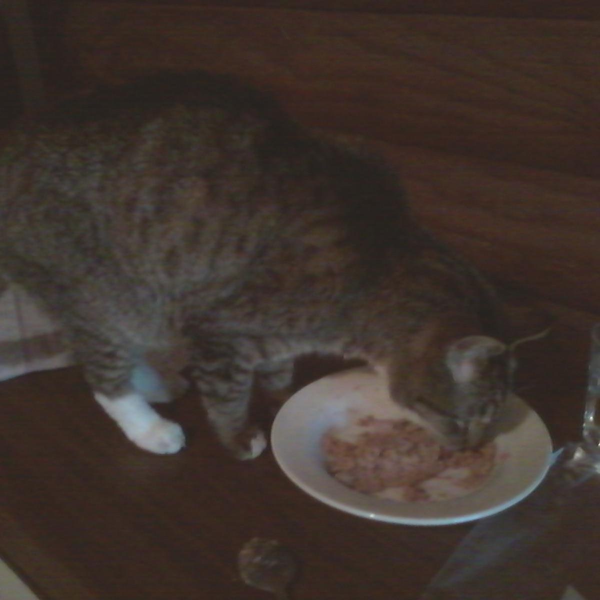 sherry_sutton's profile picture. love my family it is whats important