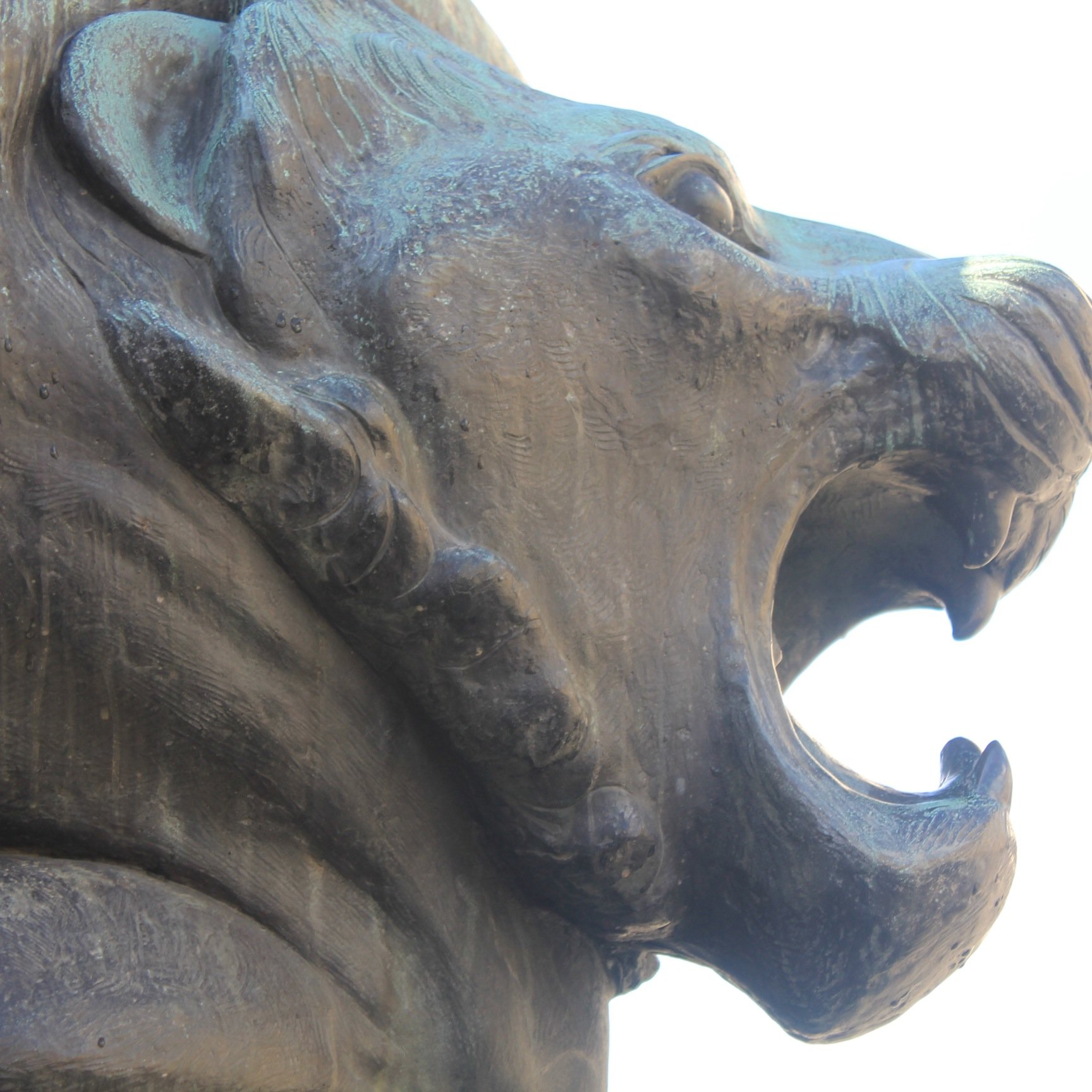 diogenof's profile picture. 