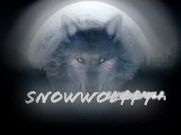 Hey guys what is up make sure to use Snows code  SNOWWOLFF  for discounts on cinch products and subscribe to our channel