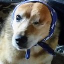 Greg Hogue - @glhogue - Twitter