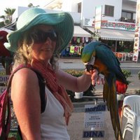 Morelle Smith (@morellesullivan) 's Twitter Profile Photo