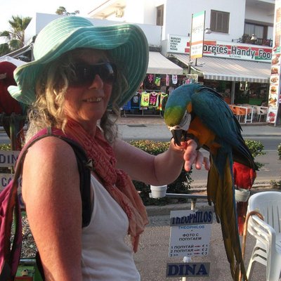 Profile Picture of Morelle Smith (@MorelleSullivan) on Twitter
