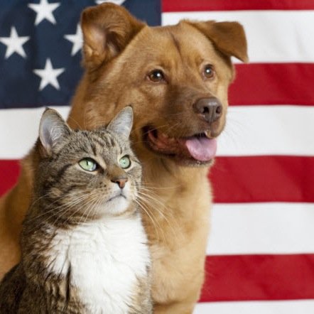 #usapet