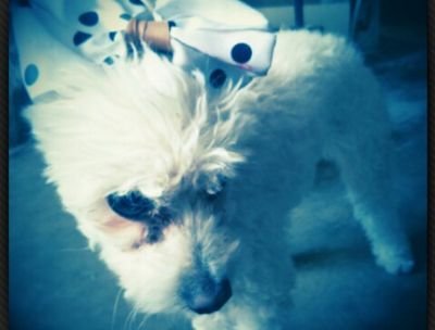 FionaRmz30's profile picture. Quien Te Ama No Te Rasguñara El Corazon !