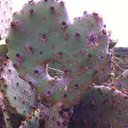 Heather Clapper - @heathclapp04 - Twitter