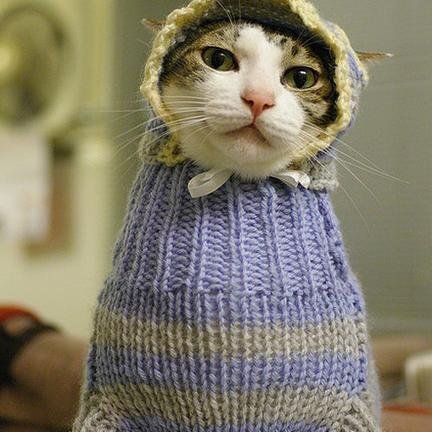 Tamannaah123's profile picture. 