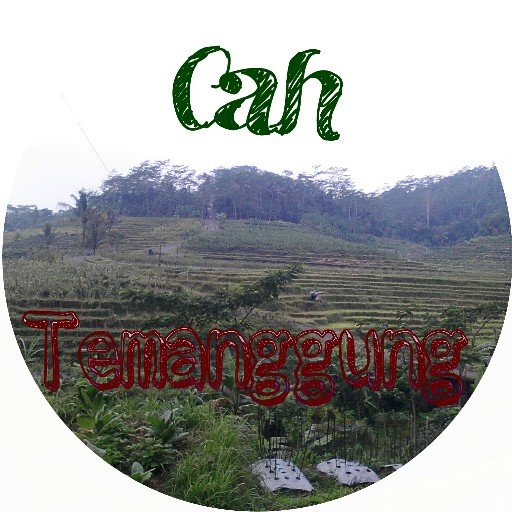 TemanggungCity's profile picture. Berbagi Informasi & Event Daerah Temanggung Bersenyum