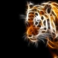 Hey I am Daniel! So, your probably asking what you are going to get from my Twitter. Well, I like Minecraft, video games in general, art, and dubstep, alot more