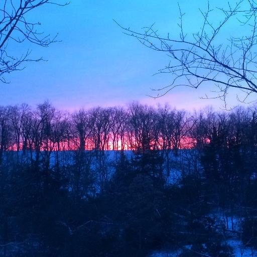 ryanvanyo's profile picture. 