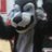 JLMS_Lobos's profile image