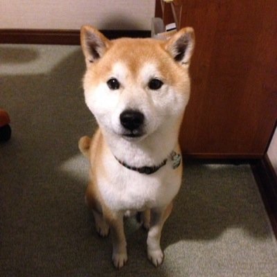 社会人12年目/ 英語学習 / 資格取得 / 公文式、DWE、スイミング、体操、音楽教室、ピグマリオン、英会話、七田式/＃ひとこと朝宣言 ＃2022年春生まれの記録 #2025年冬生まれの記録 ＃みほの読書記録 #みほの模試記録 ＃マンダラチャート振り返り #みほのAbceed勉強記録 #みほの英語勉強記録