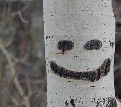 palentini's profile picture. 