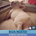 jorg (@9Jorgegustavo) Twitter